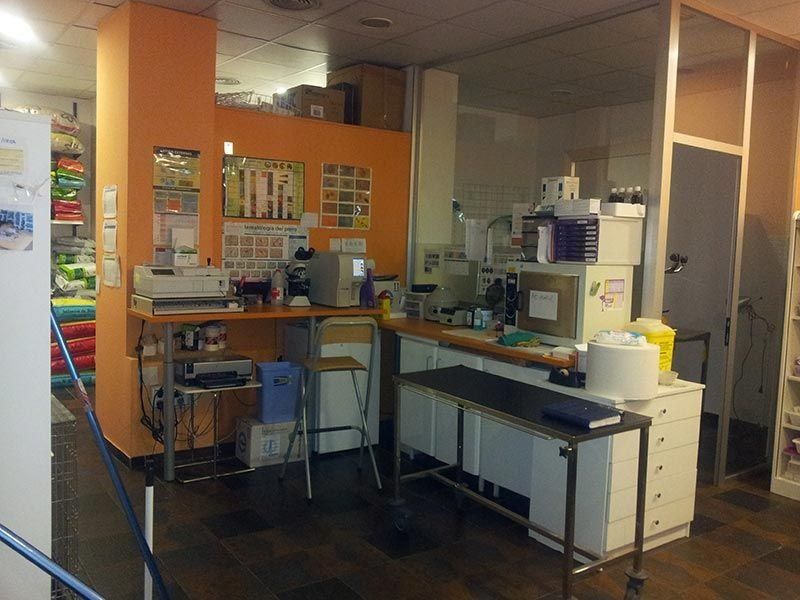 Sabadell Centro veterinario Sabadell Centro veterinario