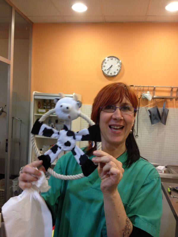 Centro veterinario en Sabadell de EXIVET Centro veterinario en Sabadell de EXIVET