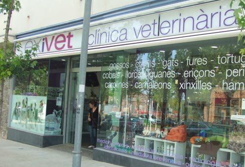 Consulta veterinaria en Sabadell Consulta veterinaria en Sabadell